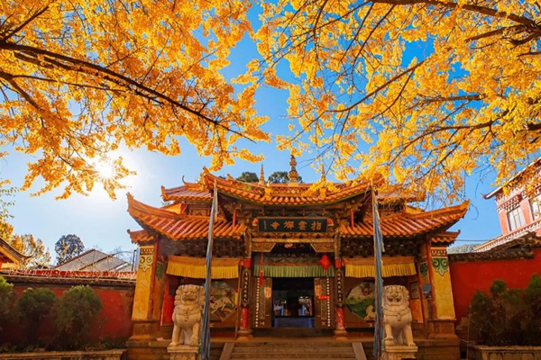 西双版纳旅游数据(西双版纳旅游数据统计图)