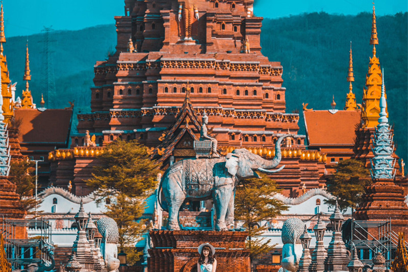 西双版纳旅游游记(西双版纳旅游游记作文)