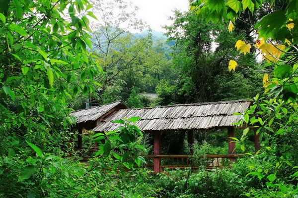 福州云南大理旅游攻略(福州去大理)