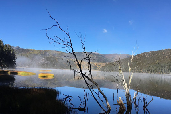 冬天去云南旅游(冬天去云南旅游合适吗)
