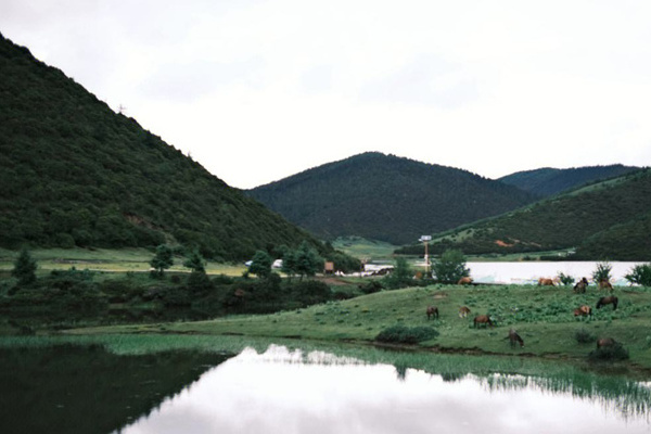 大理苍山索道旅游攻略(大理苍山索道旅游攻略图)