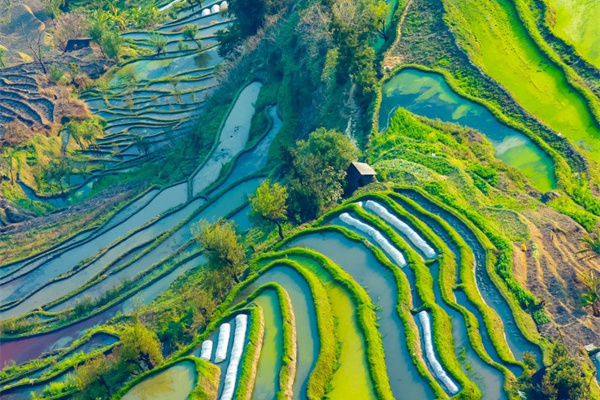 丽江旅游私人订制(丽江旅游私人订制可信吗)