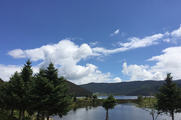 西双版纳旅游住哪里好(西双版纳旅游住哪里比较方便)