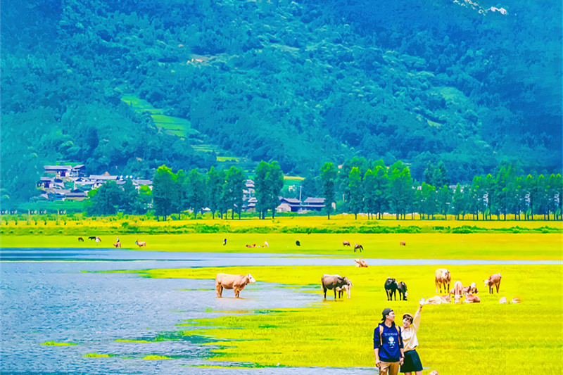 腾冲旅游攻略游(腾冲旅游攻略详细)