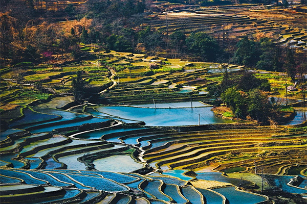 大理巍山古城旅游攻略(大理巍山古城景点)