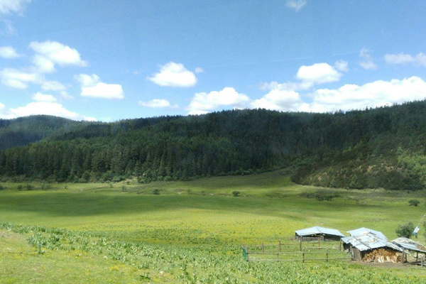 大理丽江旅游跟团(大理丽江旅游跟团多少钱)