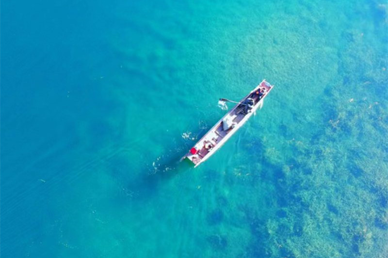 丽江旅游跟团费用(丽江旅游跟团费用分析)