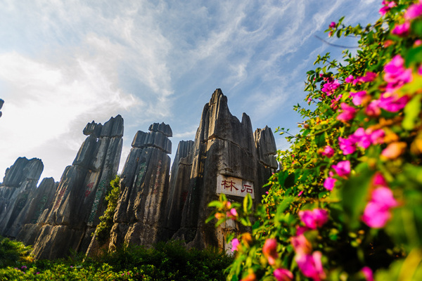 云南丽江旅游费用多少(云南丽江旅游费用多少钱)