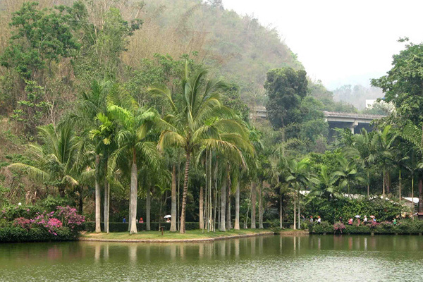 深圳去云南大理旅游攻略(深圳去云南大理旅游攻略路线)