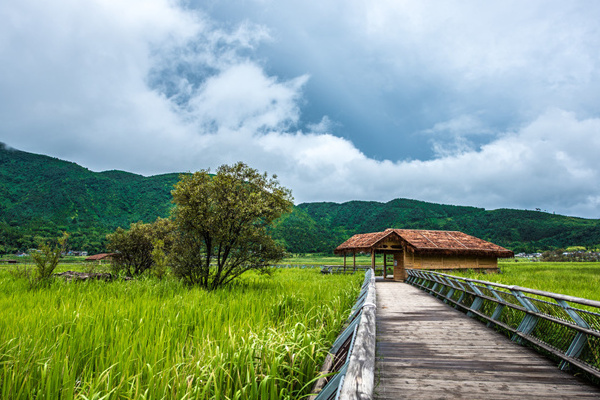 青岛到西双版纳旅游(青岛到西双版纳旅游团)