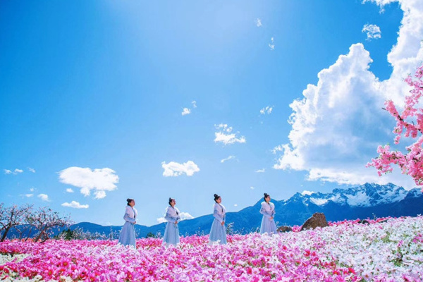 去西双版纳旅游价钱