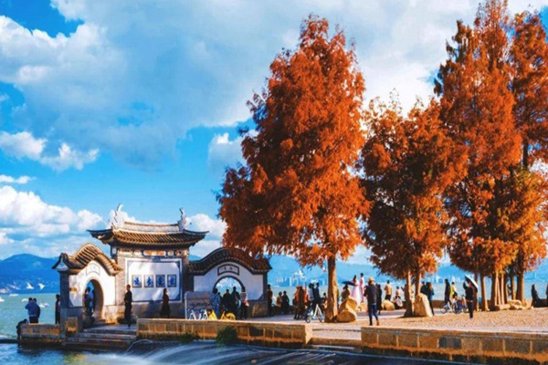 去西双版纳旅游费用