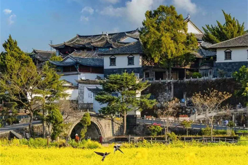 天津到西双版纳旅游(天津到西双版纳旅游团报价)